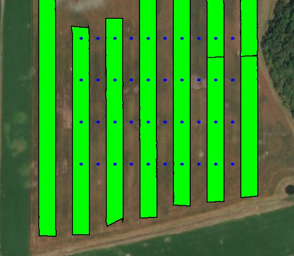 sample layout of a strip trial