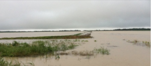 flooded Mississippi field