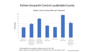 palmer pigweed control in Lauderdale county