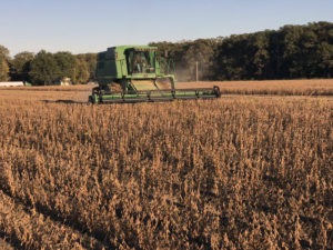 harvesting soybean plots at cold, arkansas