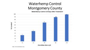 waterhemp trial results
