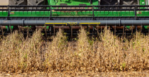 oklahoma soybean harvest