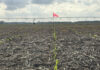 Soybean Planting Sprints Along At Fastest Pace Since 1988