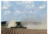 Heat spurs Arkansas cotton closer to harvest as diesel soars